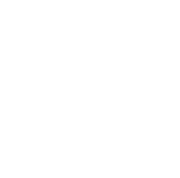 icon apple